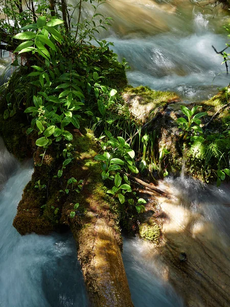 Vattenfall Skogen — Stockfoto
