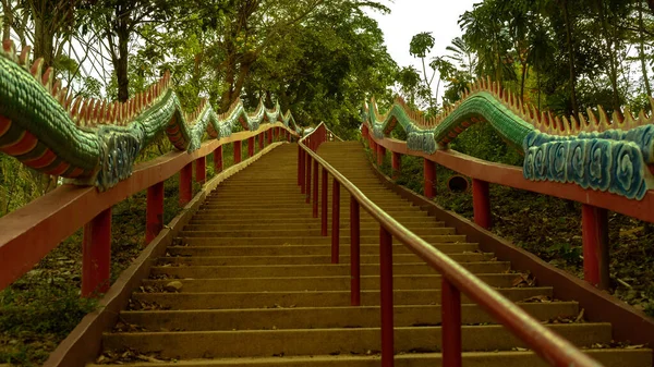 公園の美しい景色 — ストック写真