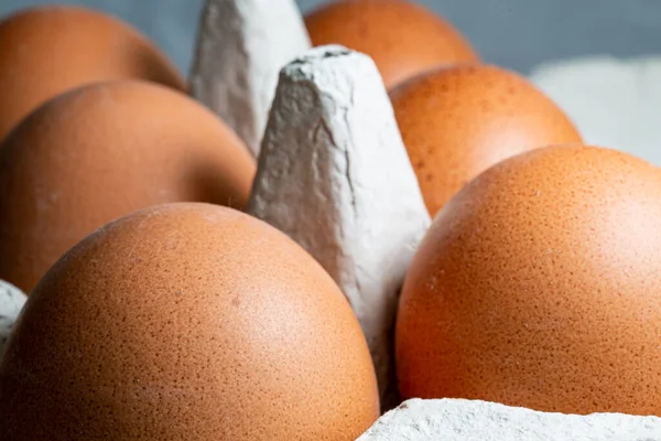 Курячі Яйця Картонній Коробці — стокове фото