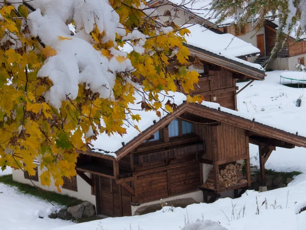 冬の田園風景と森の中の木造住宅 — ストック写真