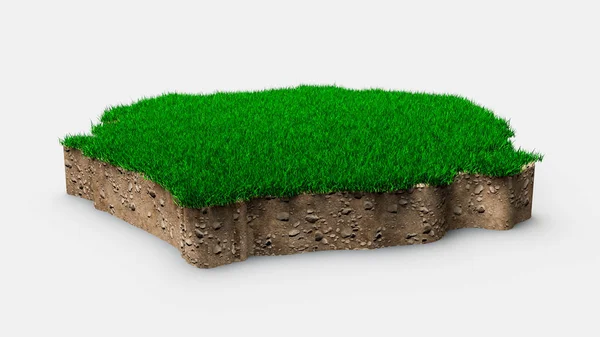 Grünes Gras Isoliert Auf Weißem Hintergrund Illustration — Stockfoto