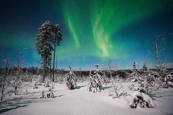 Beautiful Night View Arctic Landscape — 스톡 사진