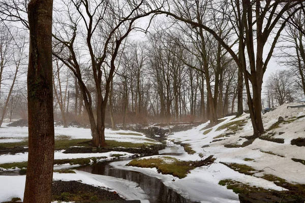 Belle Vue Sur Rivière Dans Parc — Photo