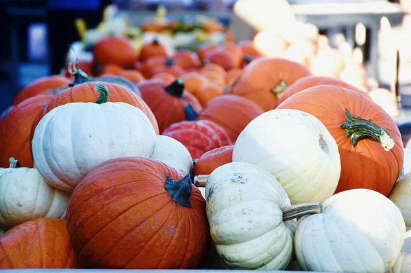 Citrouilles Colorées Sur Marché — Photo