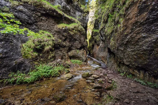 Prachtig Uitzicht Natuur — Stockfoto