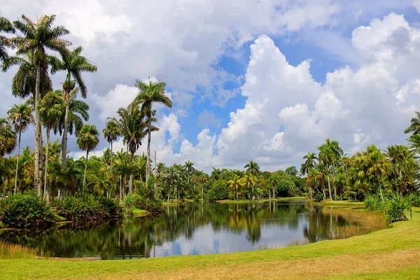 Beau Paysage Tropical Avec Des Arbres Verts Ciel Bleu — Photo