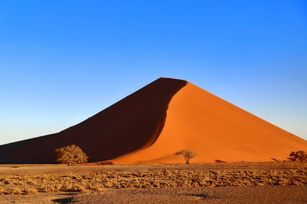 Prachtig Uitzicht Woestijn — Stockfoto