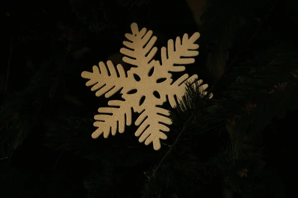 Árvore Natal Com Neve Fundo Preto — Fotografia de Stock