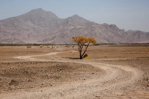 ナミビアアフリカのナミブ渓谷のネゲヴ砂漠の風景です — ストック写真