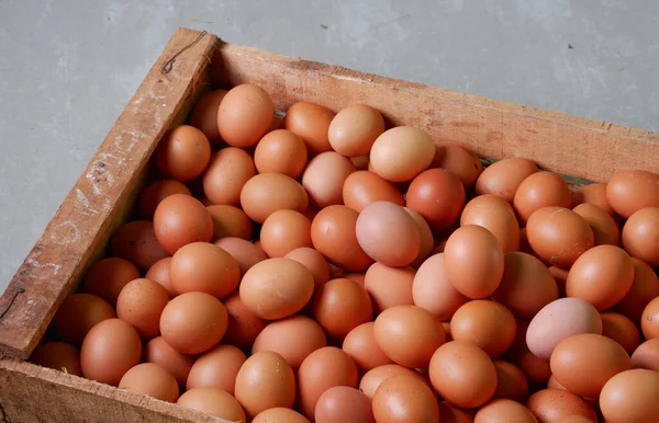 Яйця Коробці Білому Тлі — стокове фото