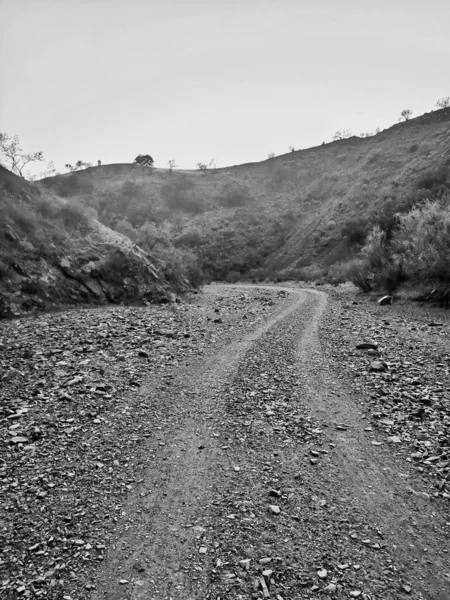 Photo Noir Blanc Une Route Dans Les Montagnes — Photo