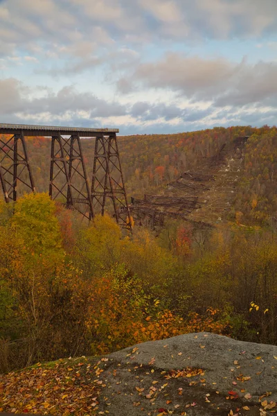 Осенний Пейзаж Деревянным Мостом Деревом — стоковое фото