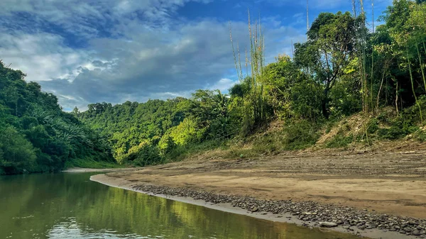 Río Bosque — Foto de Stock