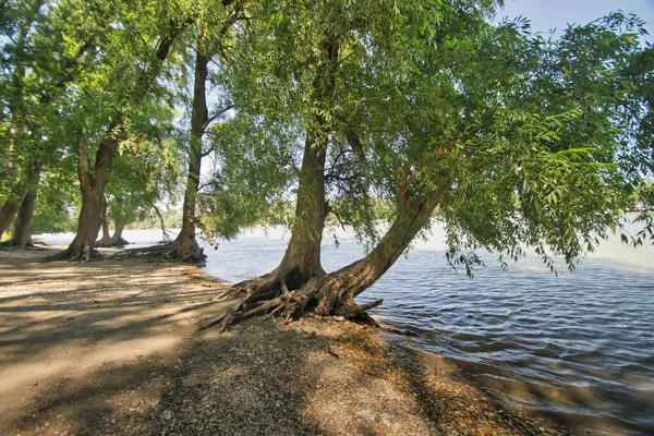 公園内の湖の美しい景色 — ストック写真