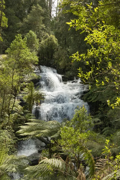 Cascada Bosque —  Fotos de Stock