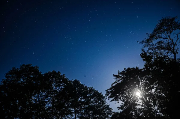 Νυχτερινός Ουρανός Αστέρια Και Γαλακτώδη Τρόπο — Φωτογραφία Αρχείου