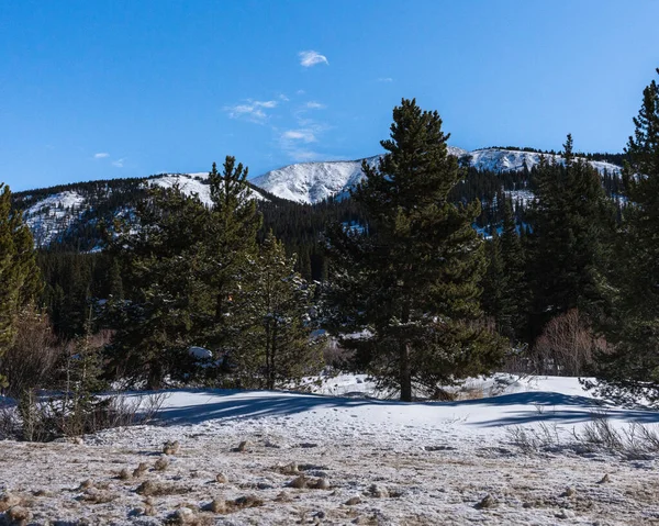 Bellissimo Paesaggio Invernale Con Alberi Innevati — Foto Stock