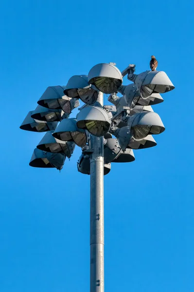 Straatlamp Het Dak Van Stad — Stockfoto