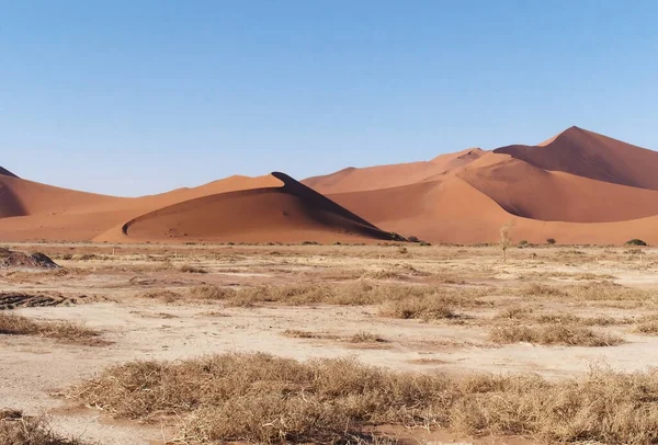 Beautiful Landscape Negev Desert Namib Naukluft National Park Namibia — Stock Photo, Image