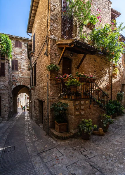 Oude Straat Stad Siena Italië — Stockfoto