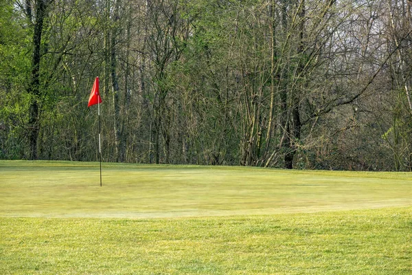 Golfbana Ett Land Med Gröna Träd Och Gräsbevuxen Stig — Stockfoto