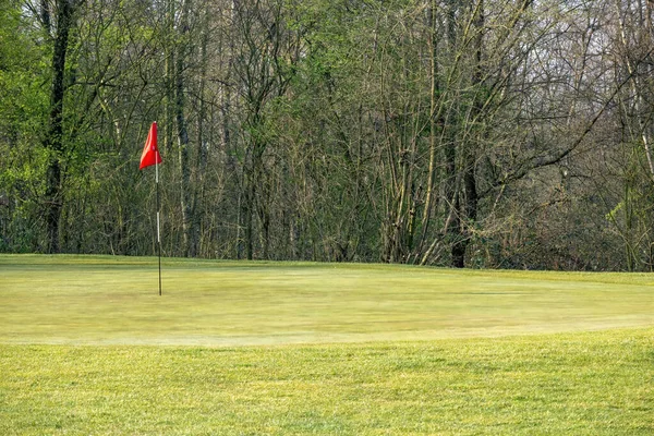 Campo Golf País Con Árboles Verdes Sendero Cubierto Hierba —  Fotos de Stock