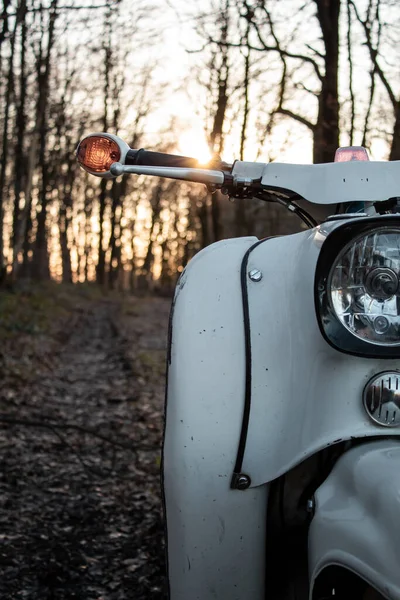 Une Moto Dans Forêt — Photo