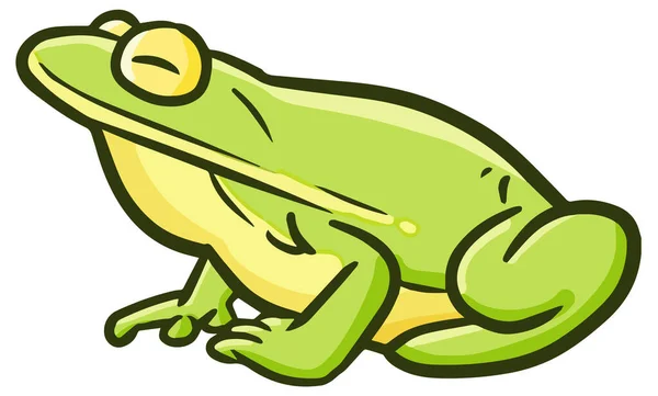 Illustration Eines Niedlichen Froschs — Stockvektor