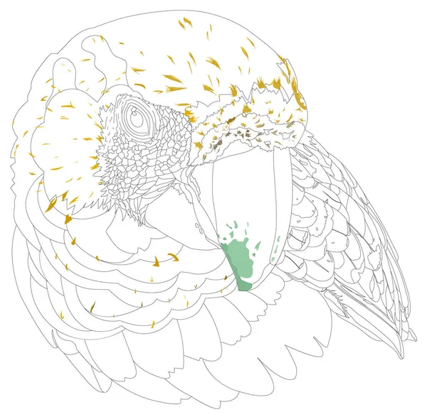 Vektorillustration Eines Vogels — Stockvektor