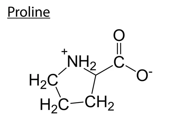 Formula Chimica Della Pianta Illustrazione Vettore Fondo Bianco — Vettoriale Stock