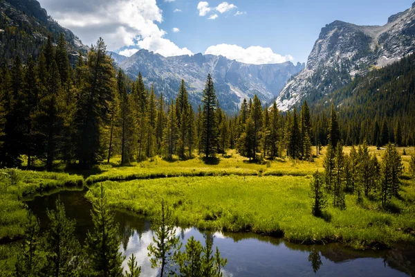 Krásná Krajina Horami Stromy — Stock fotografie