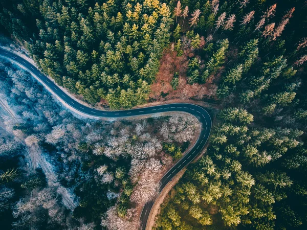 Luftaufnahme Der Straße Durch Den Wald — Stockfoto