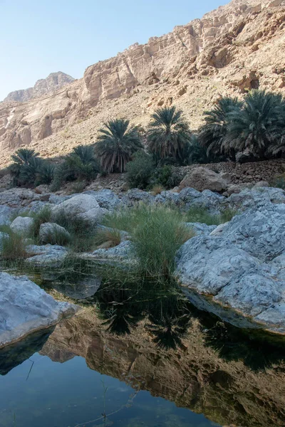 Beautiful Landscape Negev Desert Israel — Stock Photo, Image