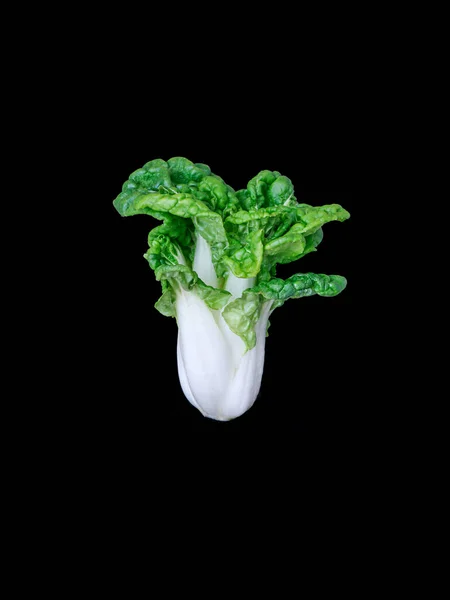 Čerstvá Zelená Zelenina Izolované Černém Pozadí — Stock fotografie
