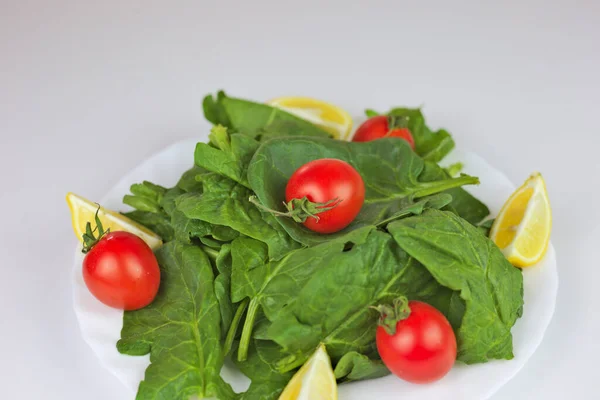 Beyaz Arka Planda Domatesli Taze Salata Fesleğen Yaprakları — Stok fotoğraf