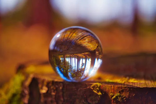 Gros Plan Une Belle Bague Sur Une Table Bois — Photo