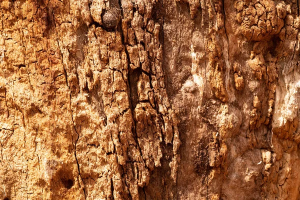 Close Textura Fundo Pedra Marrom Natural — Fotografia de Stock