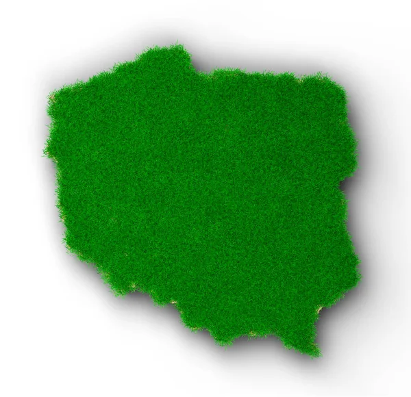 Groen Gras Een Witte Achtergrond — Stockfoto