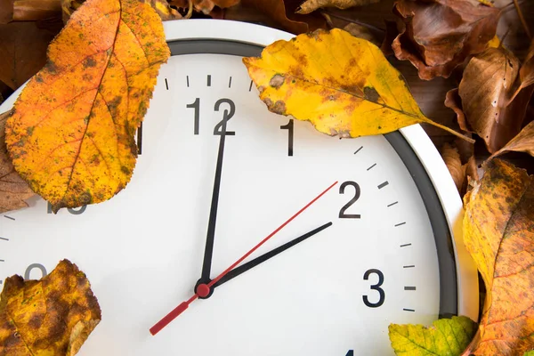 Relógio Folhas Outono Fundo Branco — Fotografia de Stock