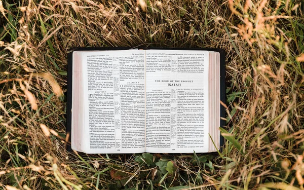 Open Book Bible Green Grass — Stock Photo, Image