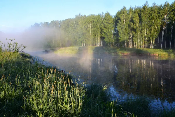 Vackert Landskap Med Och Sjö Morgonen — Stockfoto