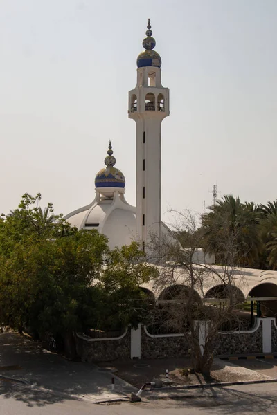 Mesquita Cidade — Fotografia de Stock