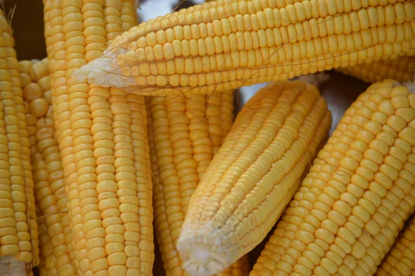Świeże Kukurydza Rynku — Zdjęcie stockowe