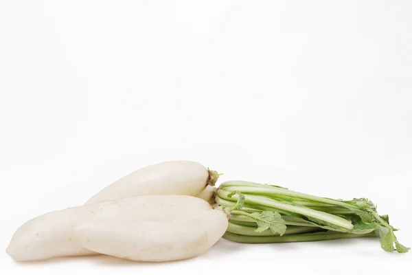 Čerstvá Zelenina Bílém Pozadí — Stock fotografie