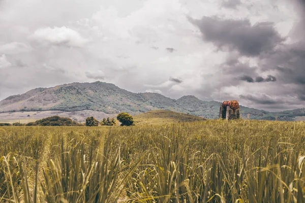 Pareja Las Montañas — Foto de Stock