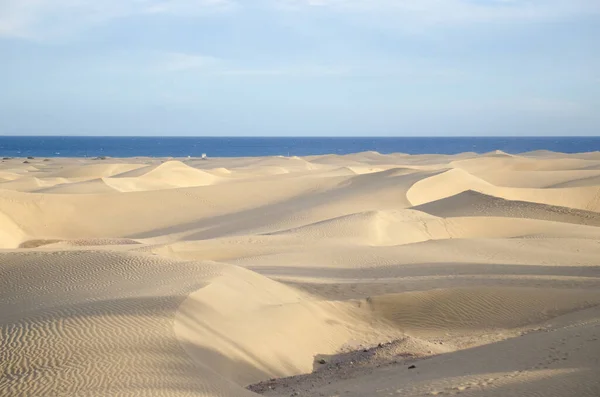 Vacker Utsikt Över Sanddyner Natur — Stockfoto