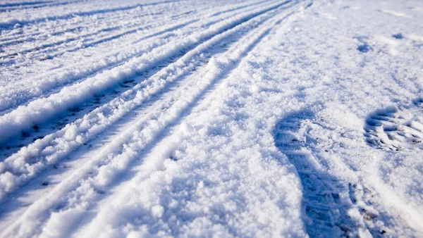 Δρόμος Καλυμμένος Χιόνι Στο Χειμερινό Δάσος — Φωτογραφία Αρχείου