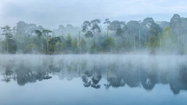 Beautiful Landscape River Lake — Stock Photo, Image