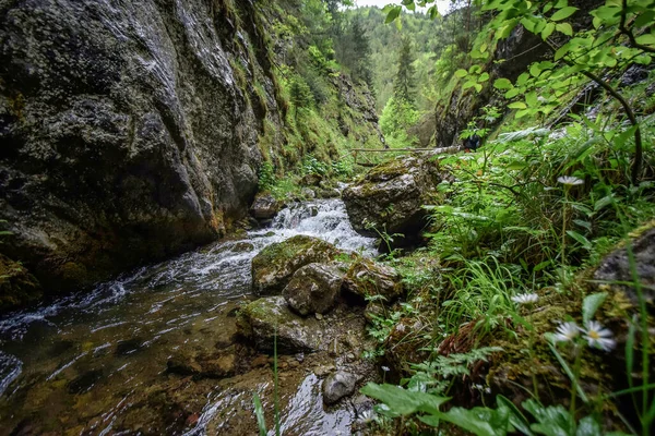 Красивый Водопад Лесу — стоковое фото