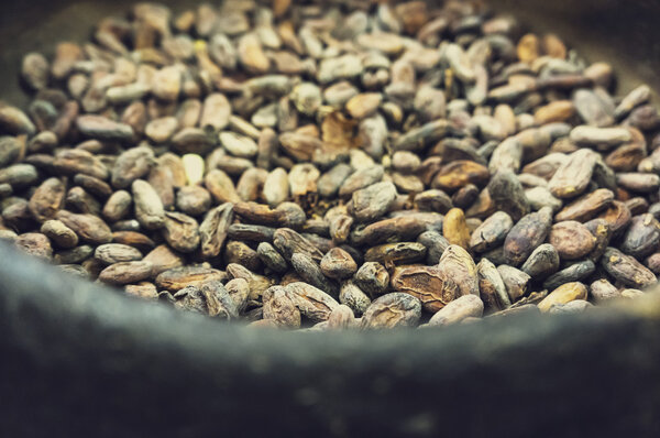 Cacao Beans 